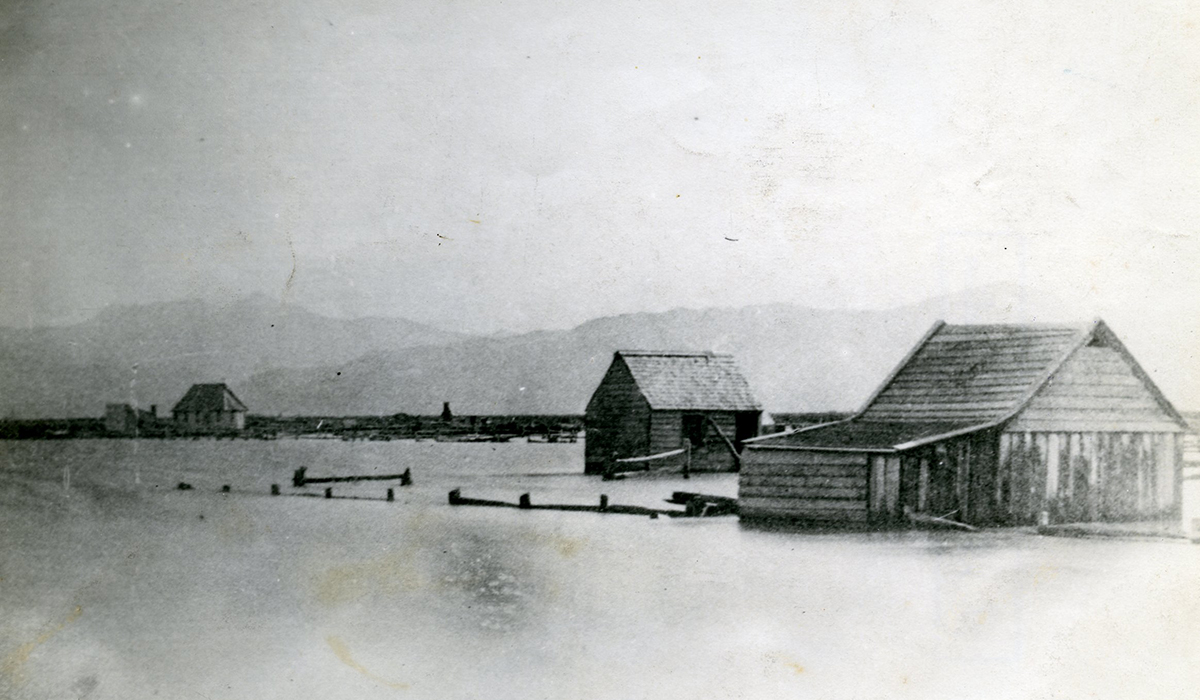 Blenehim, New Zealand, 1865
