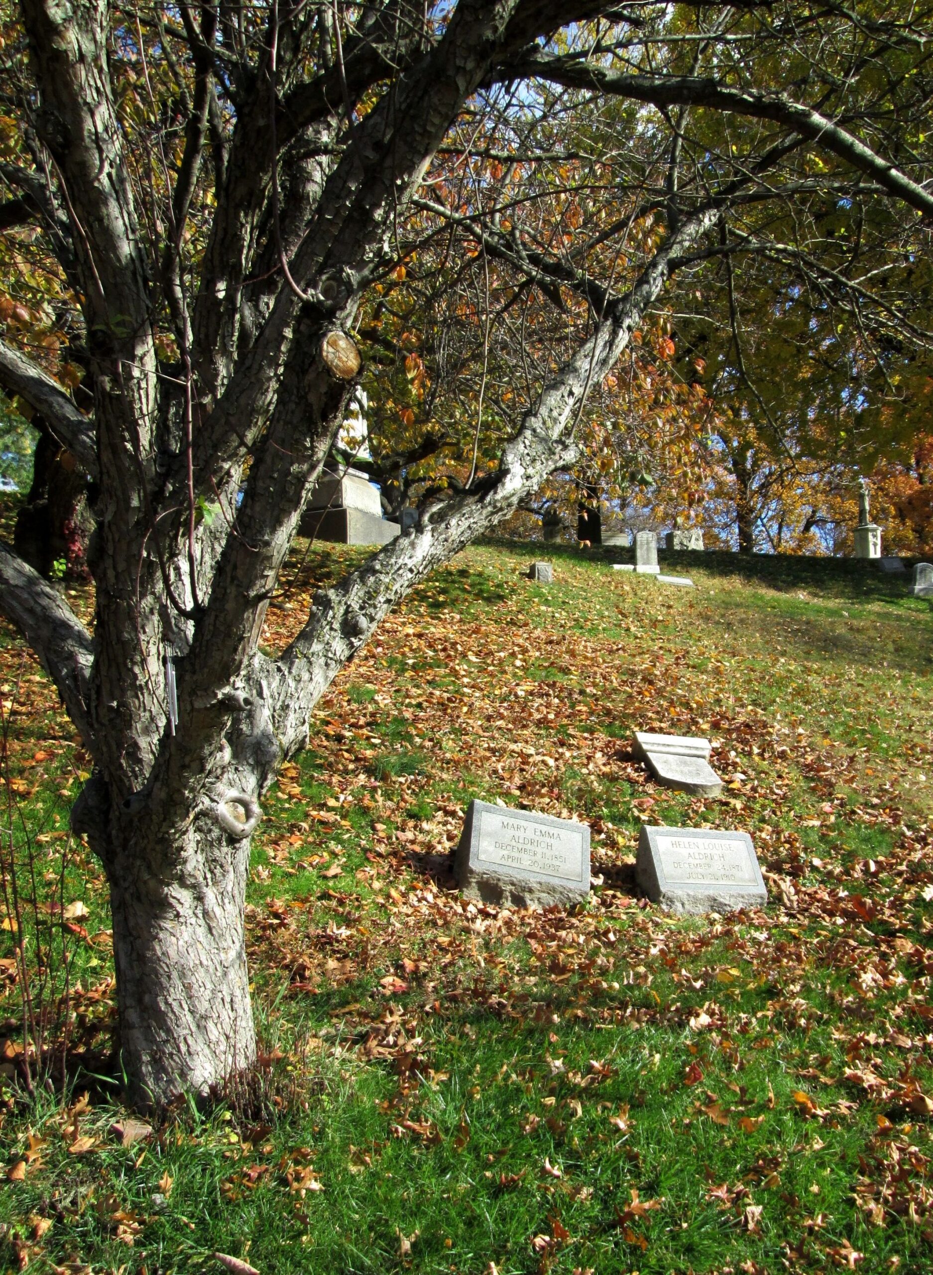 Section 72, Lot 9115 | Photo Credit
